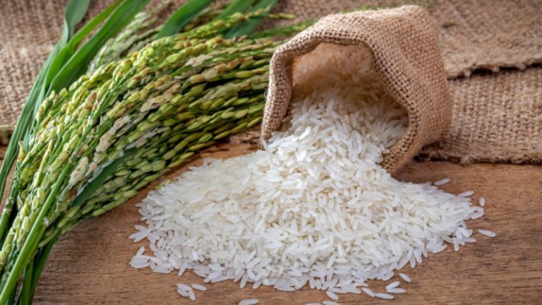 Going-against-the-grain-Declining-political-and-price-interference-provides-rice-sourcing-boost-to-Asia-food-firms