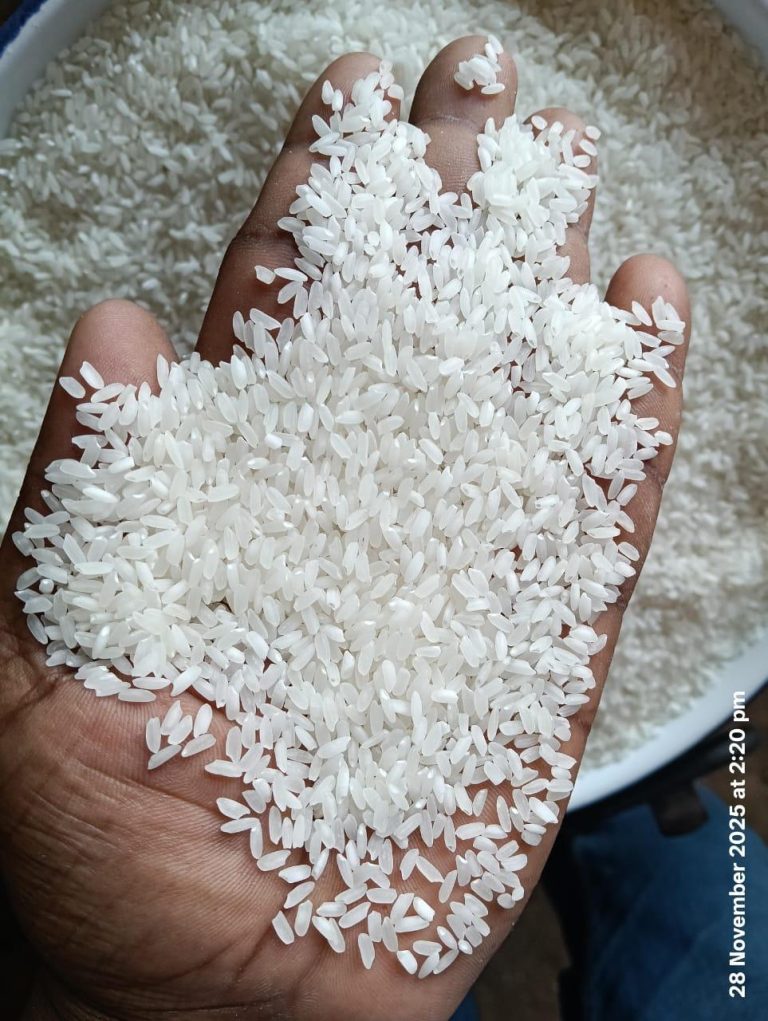 WhatsApp Image 2026-02-16 at 1.15